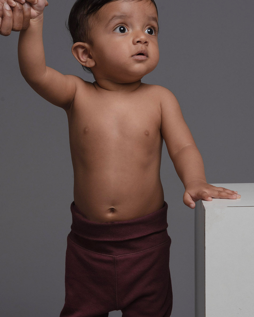 Tummy Pants in Burgundy